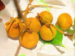 -季季山·云南野生菌火锅(上海首店)