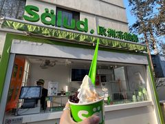 -Salud撒露欧洲冻酸奶(798艺术区店)