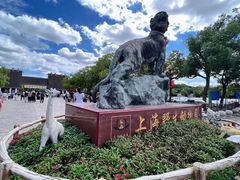 -上海野生动物园