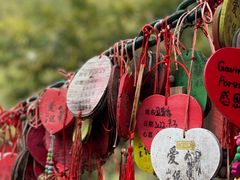 -西双版纳原始森林公园