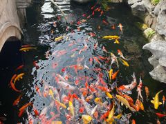 -西林禅寺