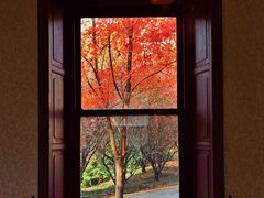 -北京动物园-畅观楼