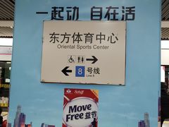 -东方体育中心(地铁站)
