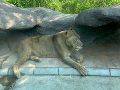 -北京野生动物园