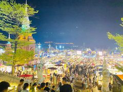 -纳兰傣雀傣味餐厅