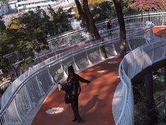 -金鸡山公园