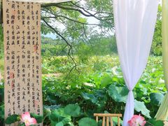 -清漾毛氏文化村