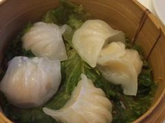 -熊猫川菜馆 panda chine