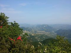 -鲁山国家森林公园