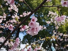 -静安雕塑公园