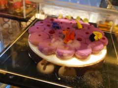 -深圳四季酒店·馥自助餐厅