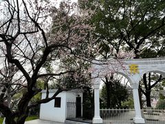 -东湖生态旅游风景区