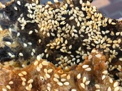 -阿甘锅盔(合生汇购物中心店)