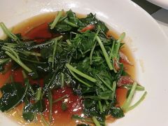 开洋广东菜心-红城阁·上海味道(四平路店)
