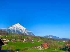 -圣马尔谷圣殿宗主教座堂