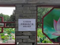 -莲花池公园