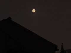 -文三酒肆自助放题(新街口友谊广场店)