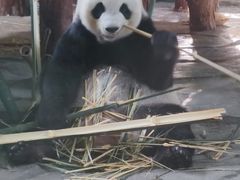 -泉州海丝野生动物世界