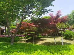 -金银湖国家城市湿地公园