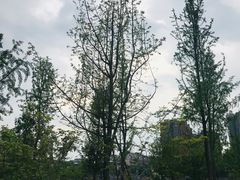 -眉山湿地公园(东坡区)