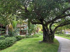 -三亚亚龙湾天域度假酒店