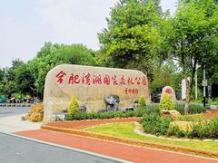 -合肥滨湖国家森林公园