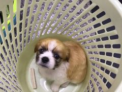 -铁朋小锅米线(玉川巷店)