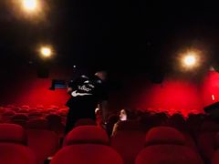 -AMG海上明珠影城(上海环球港RealDCinema店)