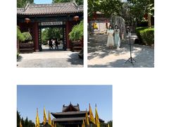 -大槐树寻根祭祖园