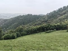 -敬亭山风景名胜区
