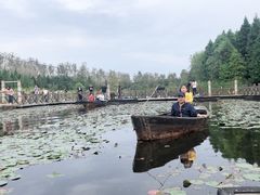 -溱湖国家湿地公园