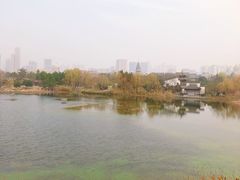 -武汉园博园(武汉自然博物馆)