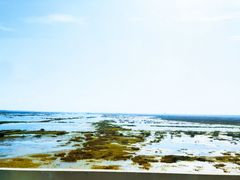 -泗洪洪泽湖湿地景区