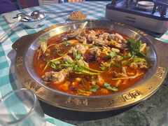 -重庆火锅水库鱼庄(南油店)
