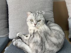 -嘉美宠物医院