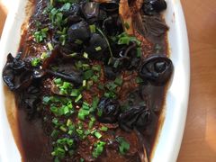 -久龄养老院护理院