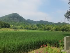 -八卦田遗址公园
