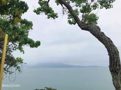 -鹿嘴山庄