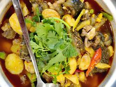 -高坎一品甲鱼庄(两河店)