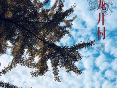 -龙井村