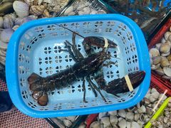 -船奇蒸汽海鲜·闽菜(八市海鲜总店)