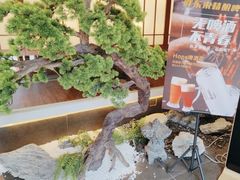 -桃夭日式料理(国信店)