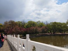 -北陵公园
