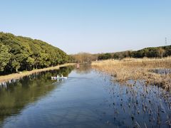 -同里国家湿地公园