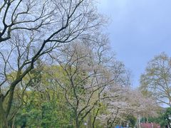 -东湖听涛景区
