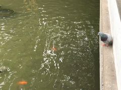 -北寺塔