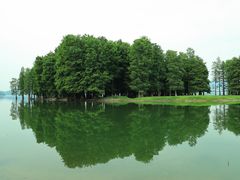 -四明湖