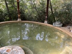 -天目湖涵田半山温泉