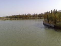 DSC_0137-苏州太湖国家湿地公园