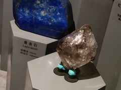 -正佳自然科学博物馆